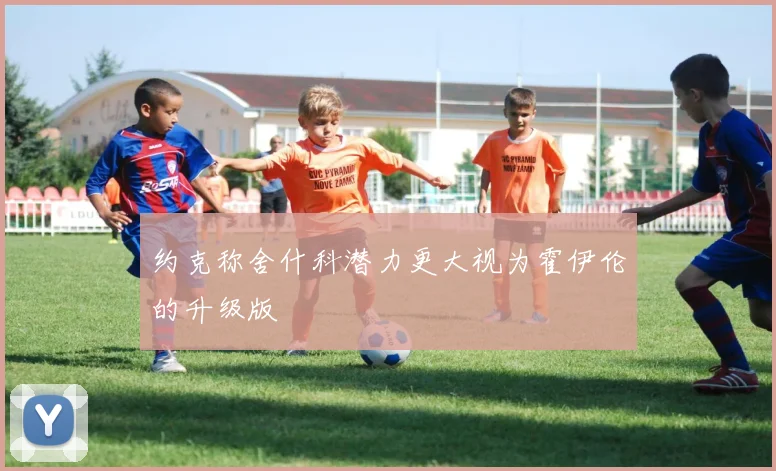 约克称舍什科潜力更大视为霍伊伦的升级版
