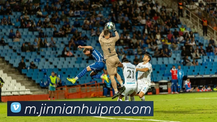 金年会APP 封面图